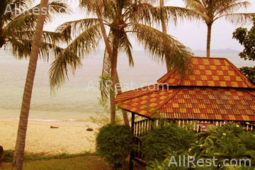 Coconut Tropicana 13